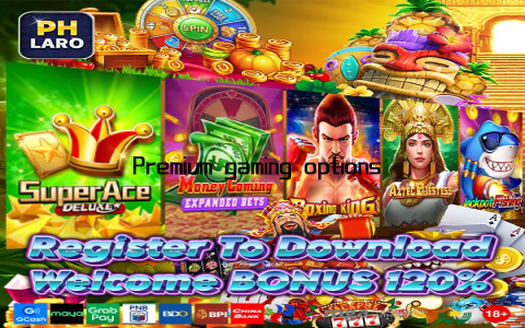Premium gaming options are at the heart of this experience, with a diverse selection of games that cater to all tastes